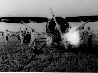 Hall Bulldog at Cleveland OH with group, front view